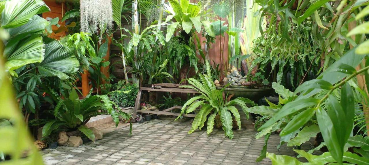 ouychai resort home stay Chiang Mai Zewnętrze zdjęcie