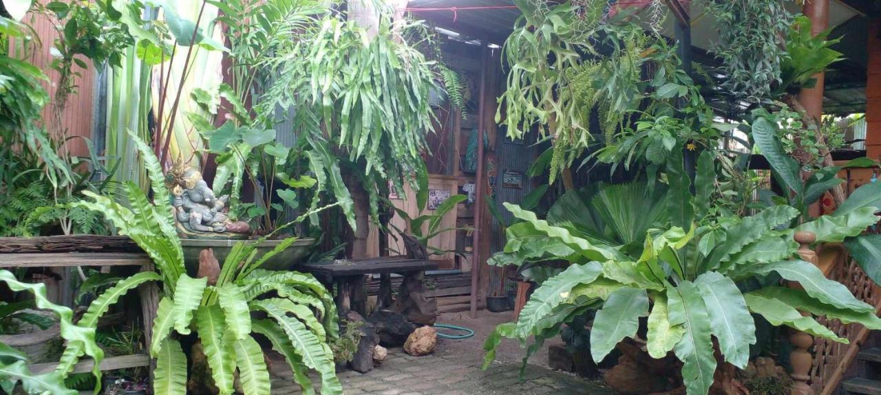 ouychai resort home stay Chiang Mai Zewnętrze zdjęcie